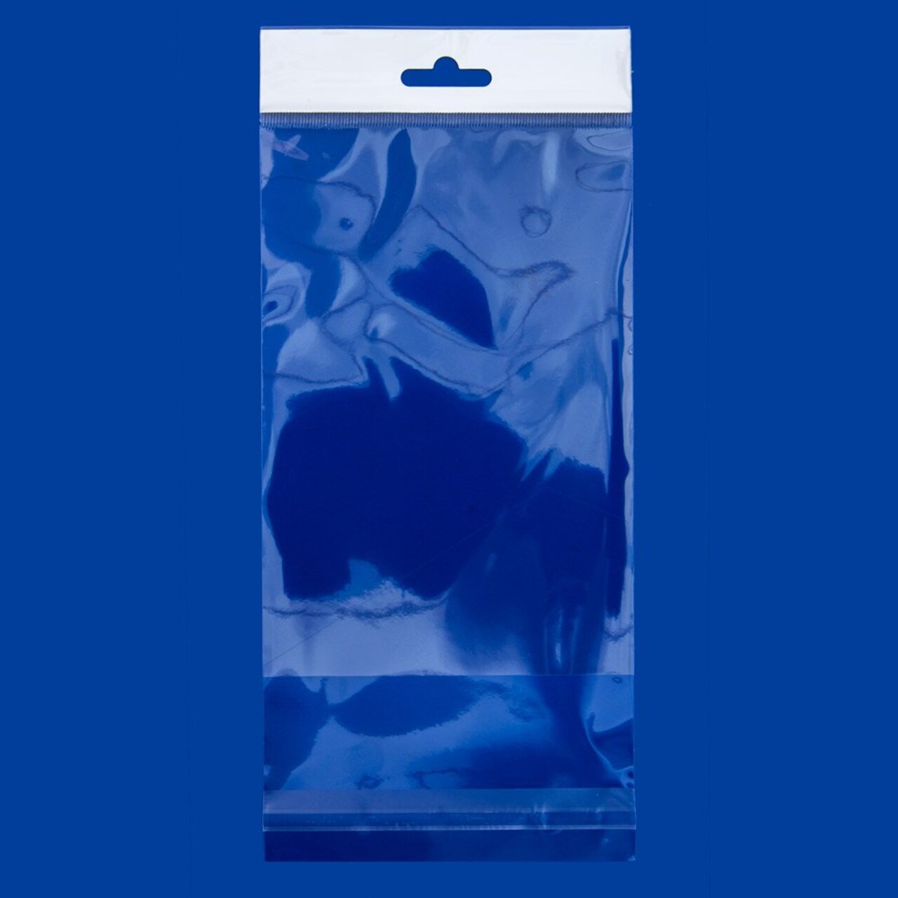 Resealable Polypropylene Bags with Hanging Header 4x6" (Package of 100)